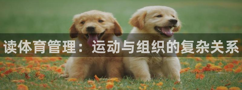 必一体育app官方：