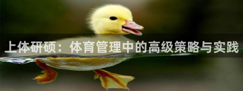 b体育必一下载：上体