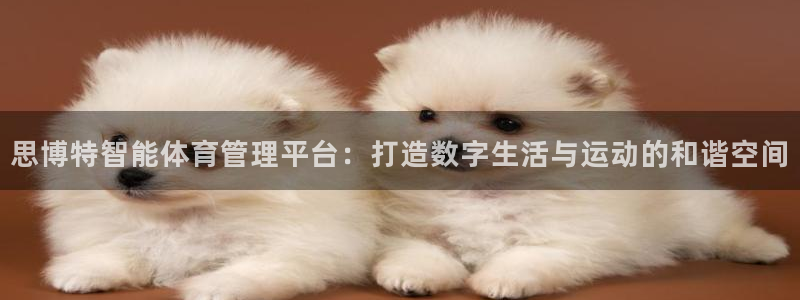 必一运动体育官网下载：思博特智能体育管理平台：打造数字生活与